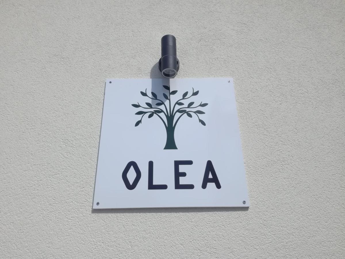 Olea Apartment Tivat Luaran gambar