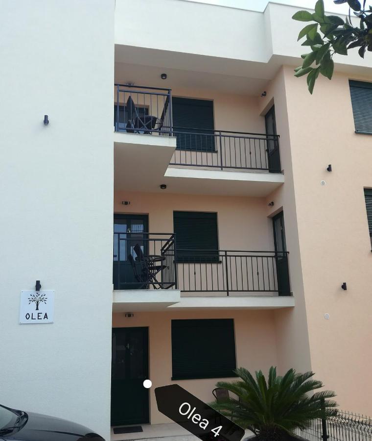 Olea Apartment Tivat Luaran gambar